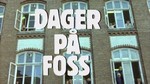 dager paa foss