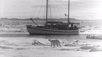 svalbard 1964