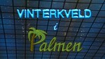 vinterkveld i palmen